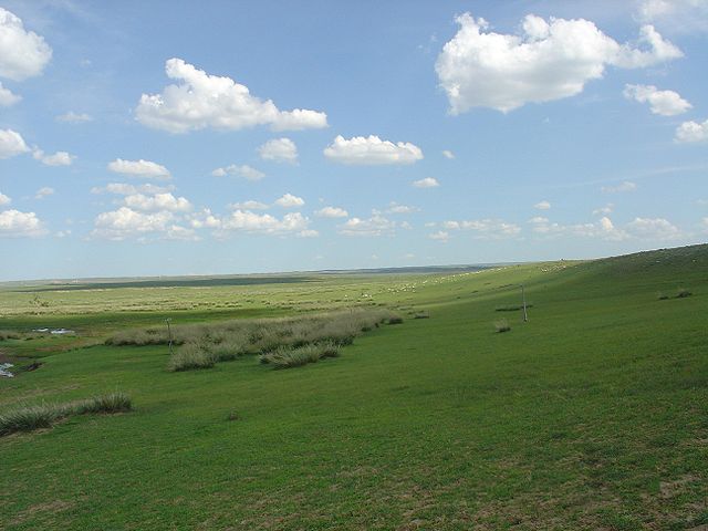 Grass Land