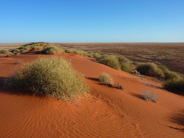 Things to do in Simpson Desert