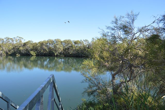 Water Springs of Alice Springs