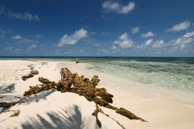 Silk Caye Marine Reserve