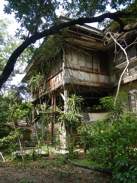 Treehouse Rental in San Jose, California