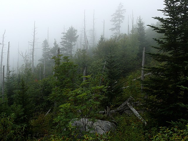 Smoky Mountains