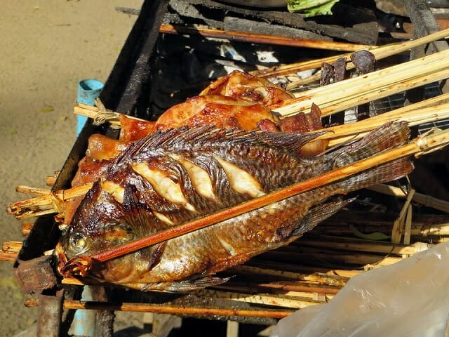 grilled fish