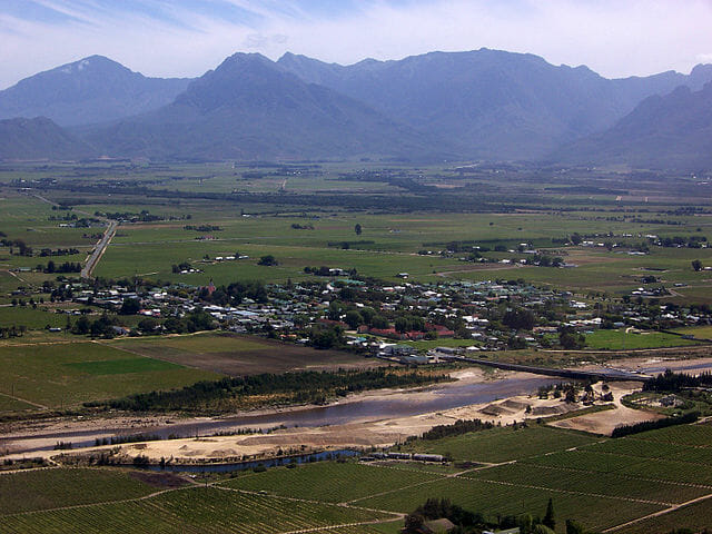 Fynbos