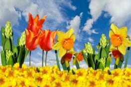 10 Best Beaches in Hawaii That You Can’t Overlook - View Traveling