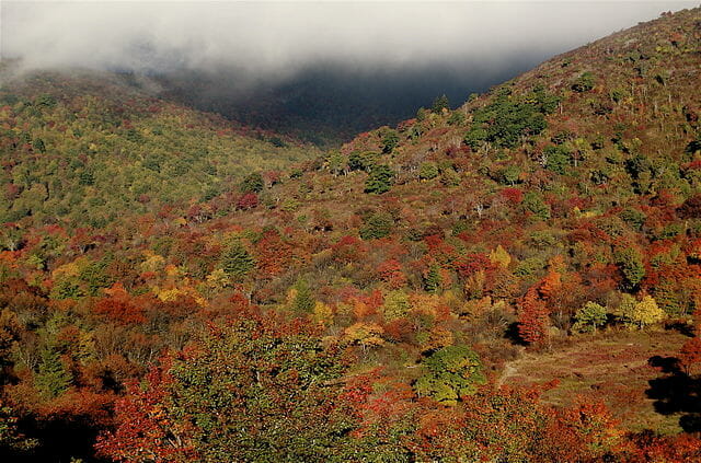 Graveyard Fields