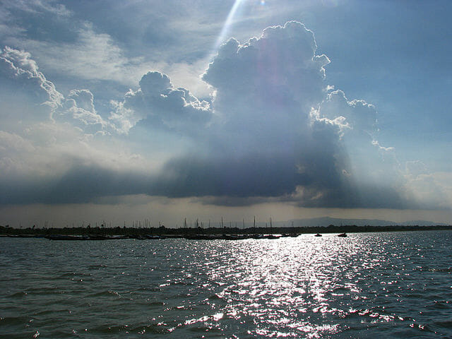 pulicat lake