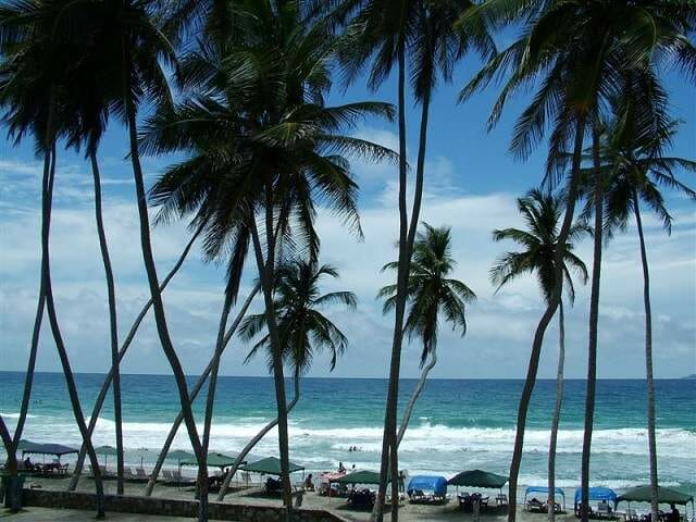 Margarita Island