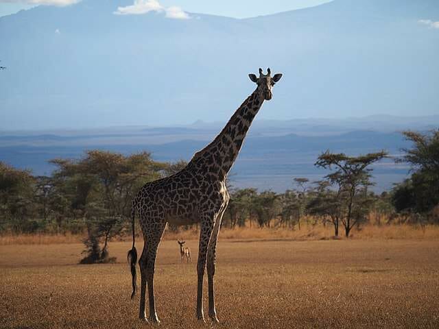 Chyulu Hills