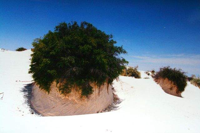 White Sands National Park