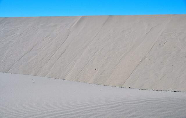 Oregon Dunes