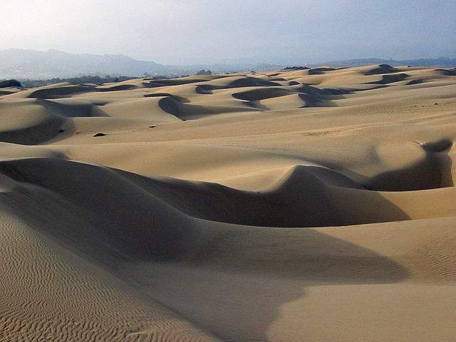 Pismo Beach sand dunes