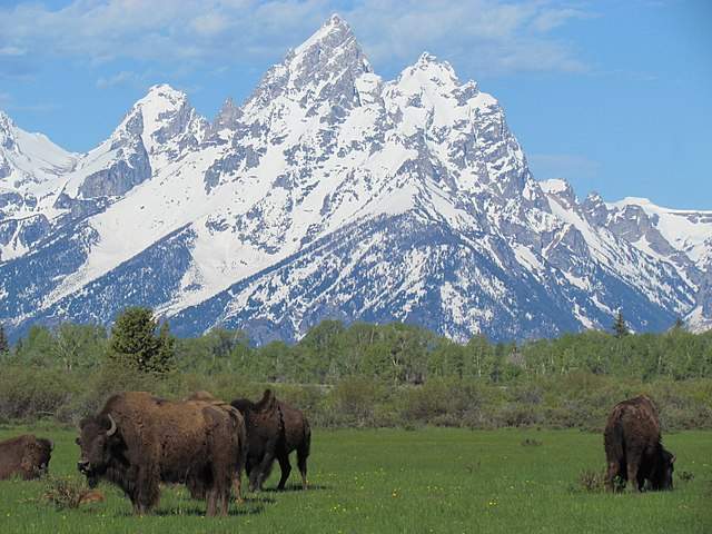 Grand Teton