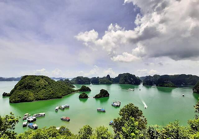 Ha Long Bay Boat Tours