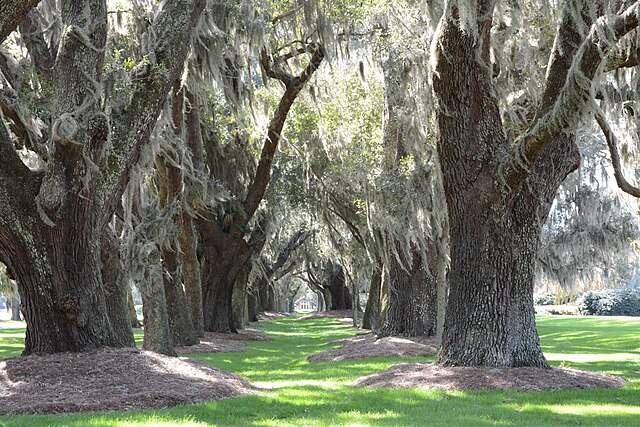 St. Simons Island