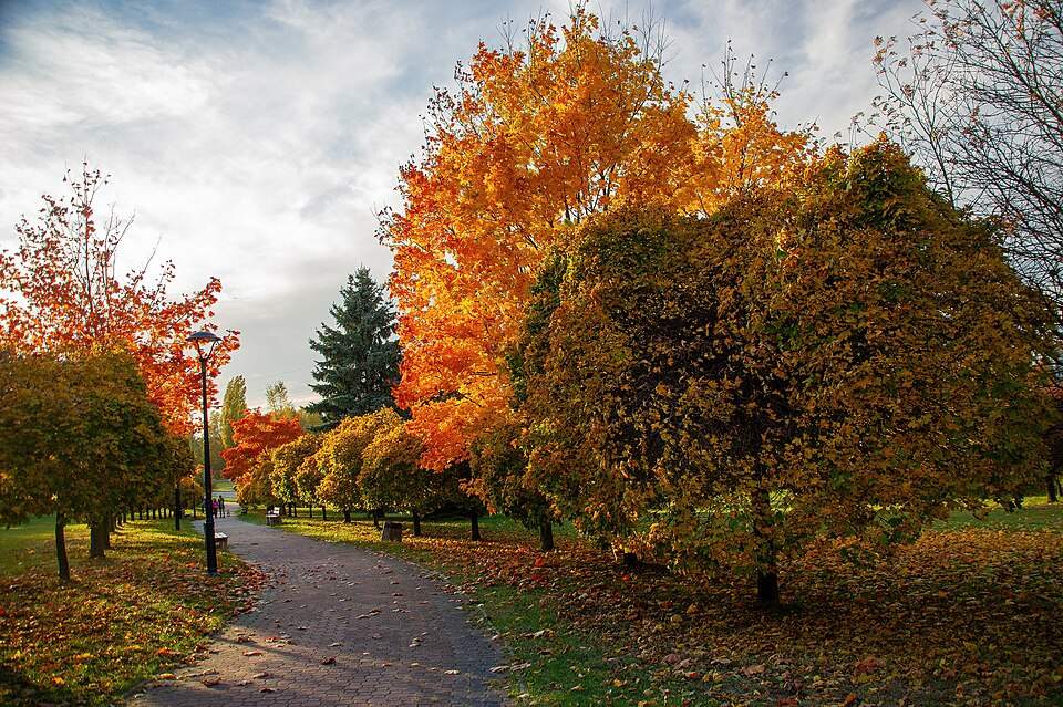 Poland in Autumn